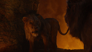 Lionking2019-animationscreencaps.com-12138