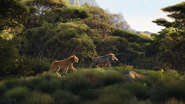 Lionking2019-animationscreencaps.com-6905