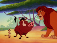 COLT Timon Pumbaa & Simba4