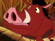 KBMF Pumbaa10