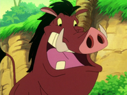 OTB Pumbaa11