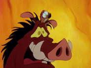 COLT Timon & Pumbaa42