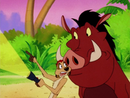 NBT Timon & Pumbaa14