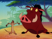 COLT Timon & Pumbaa7