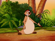 HEFY Timon19