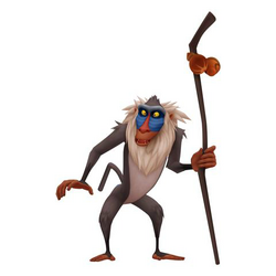 KH Rafiki