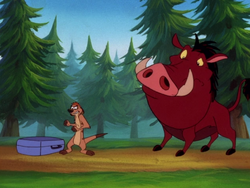 YR Timon & Pumbaa20