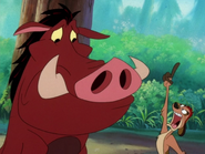 HTBTHCR Timon & Pumbaa19