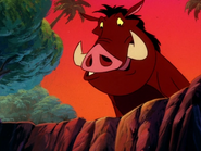 TLOTJ Pumbaa14