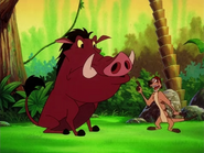 EFN Timon & Pumbaa7