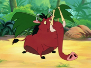 UBAE Pumbaa40