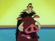 PB Timon & Pumbaa17