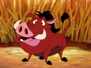 KBMF Pumbaa6