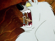 KC Timon & polar bear