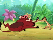 LBAM Timon & Pumbaa32