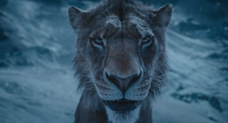 Mufasa-animationscreencaps.com-10758