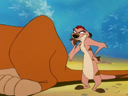 SYD Timon5