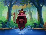 TOZ Timon & Pumbaa22