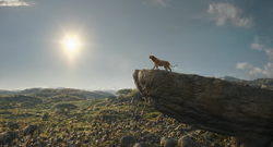 Mufasa-animationscreencaps.com-14493