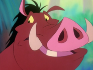 TZ Pumbaa14