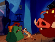 YC Timon & Pumbaa12