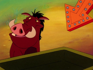 BN Pumbaa4