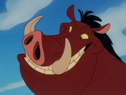 BOITO Pumbaa2