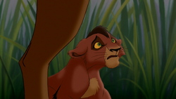 Lion-king2-disneyscreencaps-1529