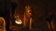 Lionking2019-animationscreencaps.com-12389