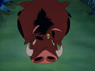 TLST Pumbaa11