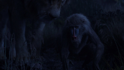 Lionking2019-animationscreencaps.com-10232