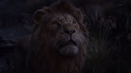 Lionking2019-animationscreencaps.com-10430