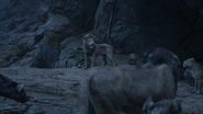 Lionking2019-animationscreencaps.com-11370