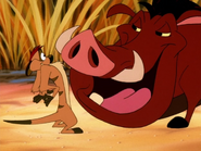 KBMF Timon & Pumbaa9