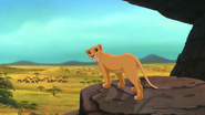 Lion-king2-disneyscreencaps.com-3320