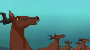 Lion-king2-disneyscreencaps.com-3369