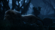 Lionking2019-animationscreencaps.com-10051