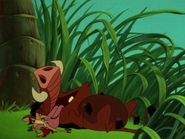 PB Timon & Pumbaa3