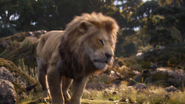 Lionking2019-animationscreencaps.com-9474