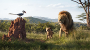 Lionking2019-animationscreencaps.com-1631