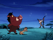 SD Timon Pumbaa & Rafiki8