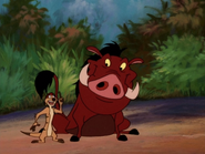 Hoodwinked Timon & Pumbaa18