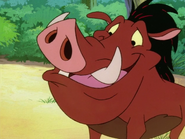 UBAE Pumbaa5