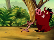 BGD Timon & Pumbaa6