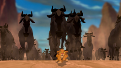 Simba flees a wildebeest stampede, during which "...To Die For" is heard.