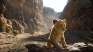 Lionking2019-animationscreencaps.com-5158