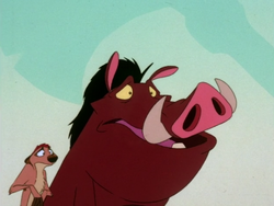 OC Timon & Pumbaa26