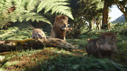 Lionking2019-animationscreencaps.com-6983