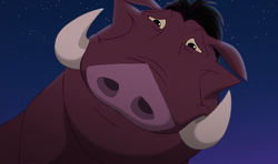 Pumbaa expresses joy that he and Timon are friends.