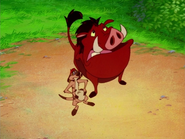 BL Timon & Pumbaa23